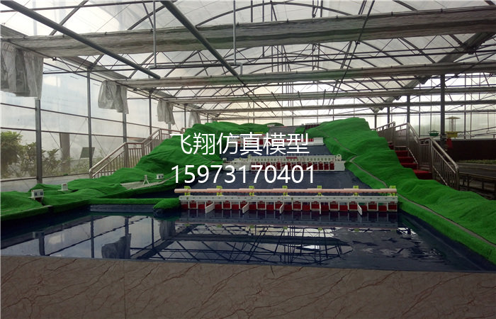 《溫州科技學(xué)院》四級(jí)梯級(jí)水電樞紐仿真模型