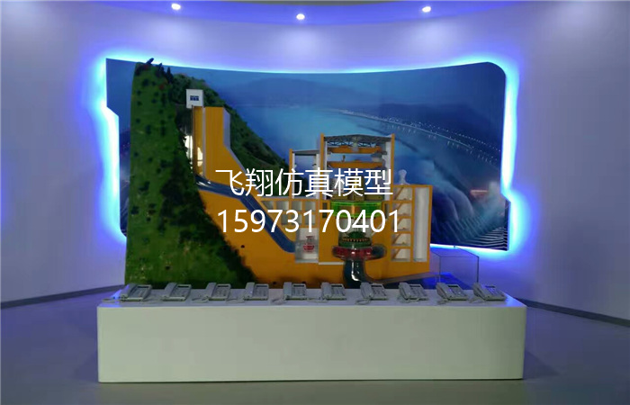 《中國大唐集團(tuán)》水輪機(jī)模型